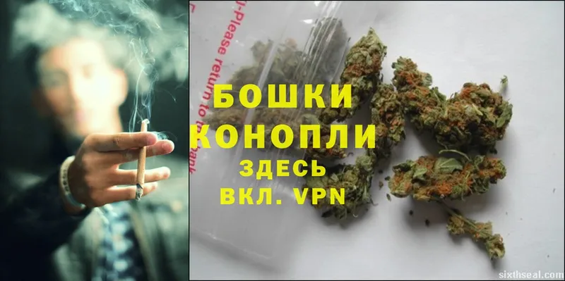 Бошки Шишки OG Kush  цены   Кандалакша 